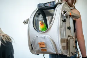 BirdTricks x Ibiyaya TrackPack