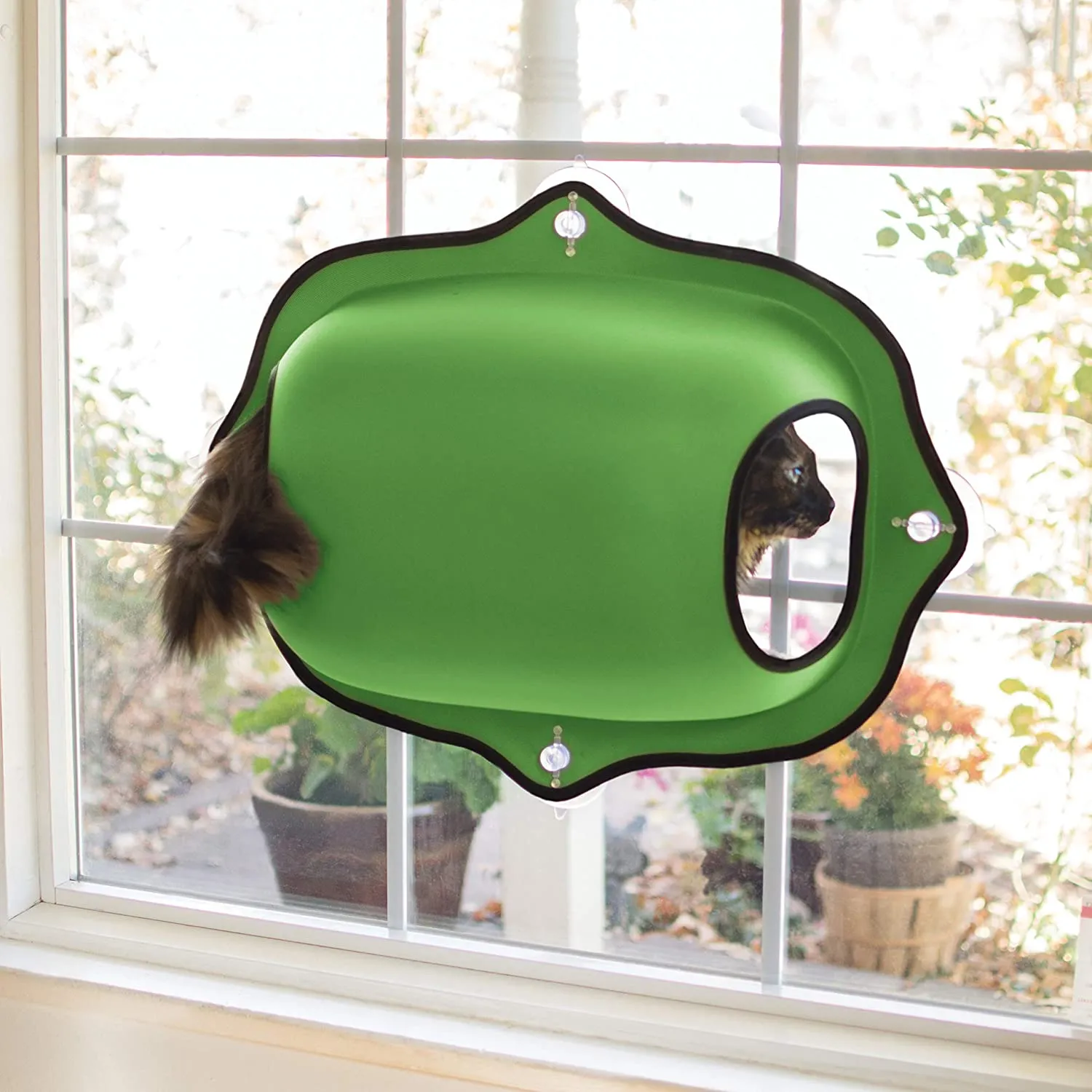 Cat Window Pod - K&H Pet Products EZ Mount