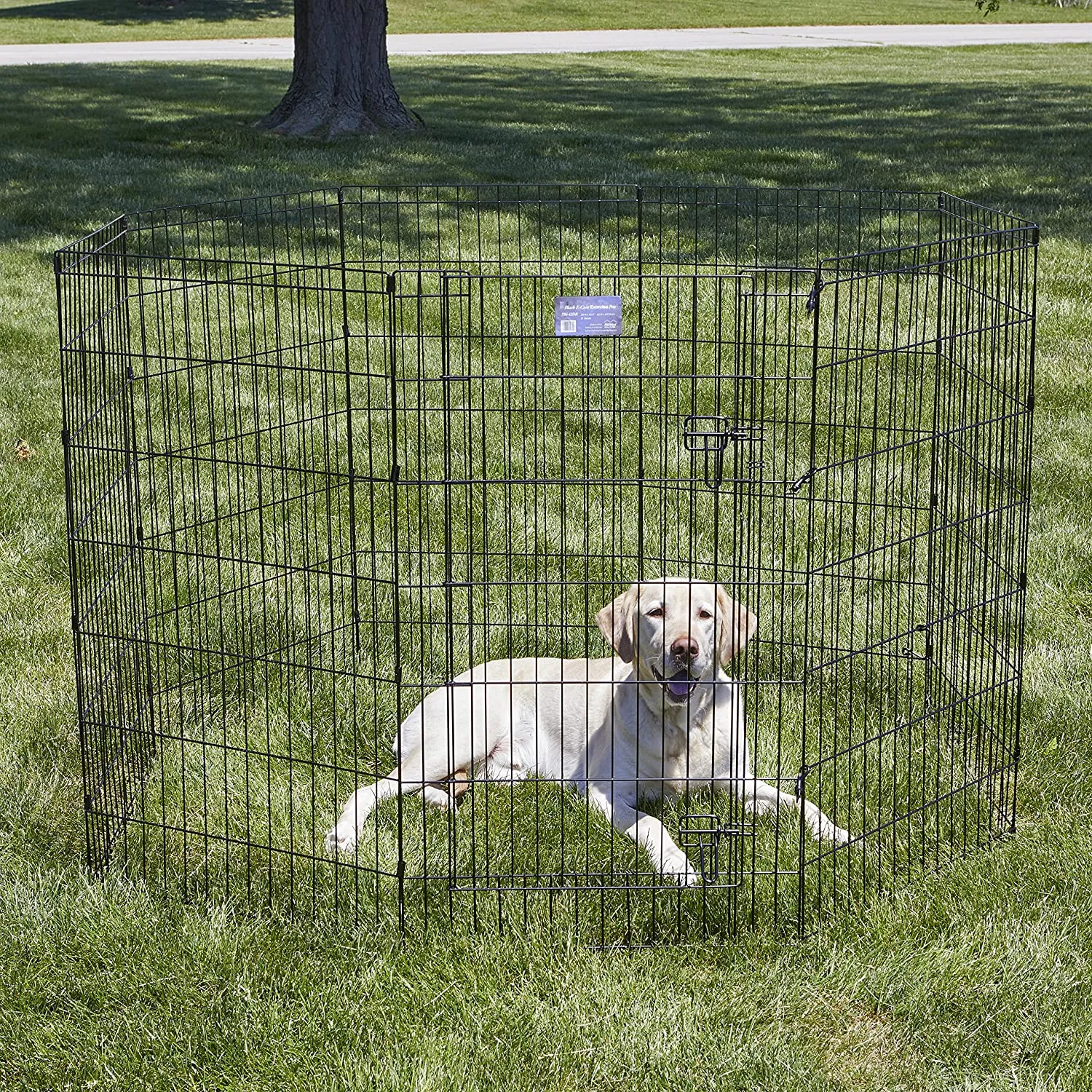 Foldable Dog Playpen with Walk-Thru Door -  8 Panels - Midwest Homes for Pets