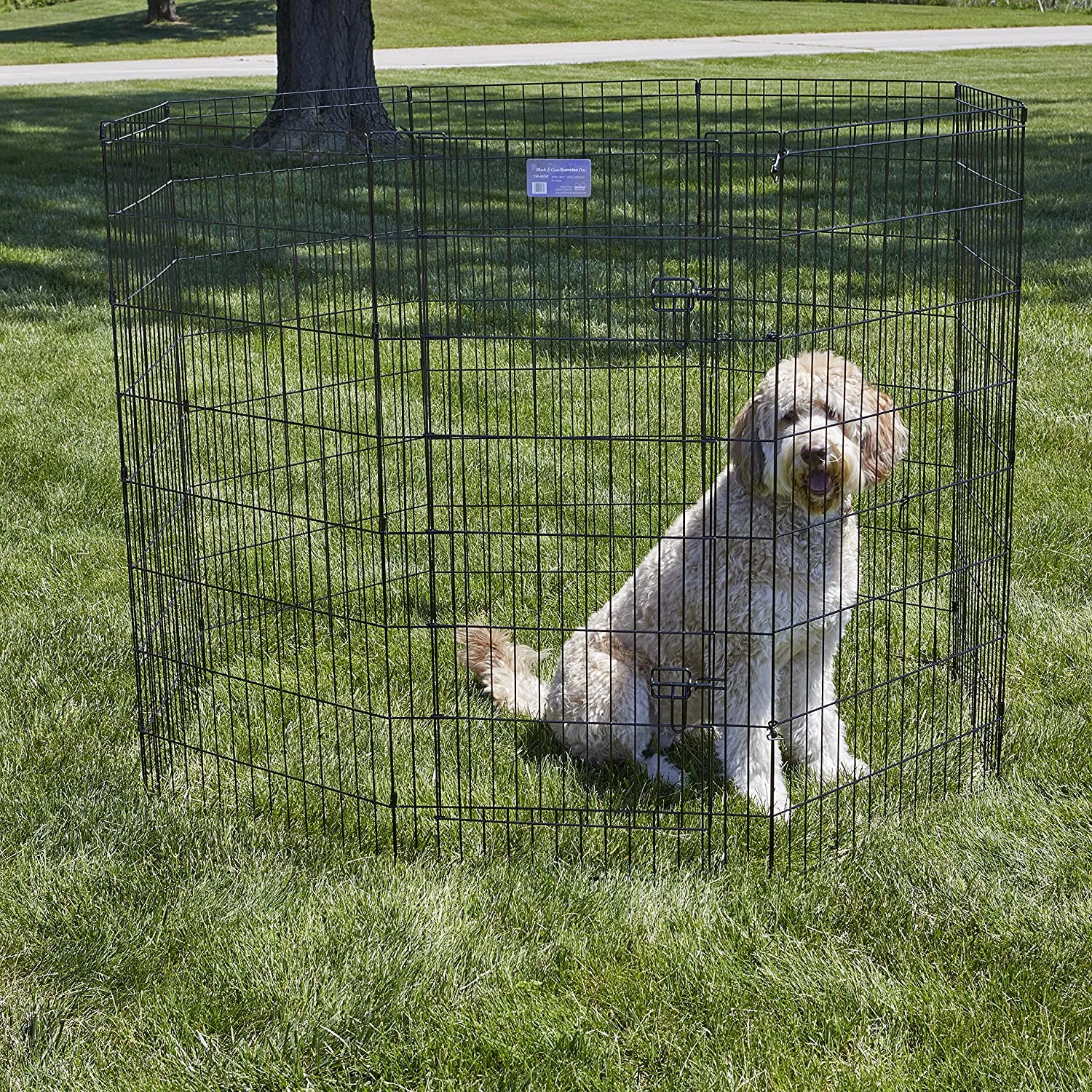 Foldable Dog Playpen with Walk-Thru Door -  8 Panels - Midwest Homes for Pets