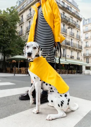 The Toutoucir SAINT JAMES - raincoat for dogs (JAUNE)